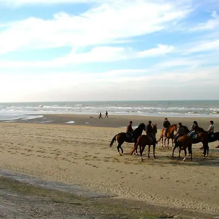 Appartamento In Near Belgium Pier