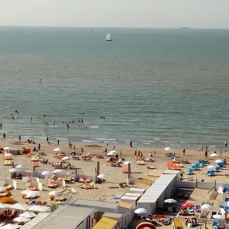 In Near Belgium Pier Daire