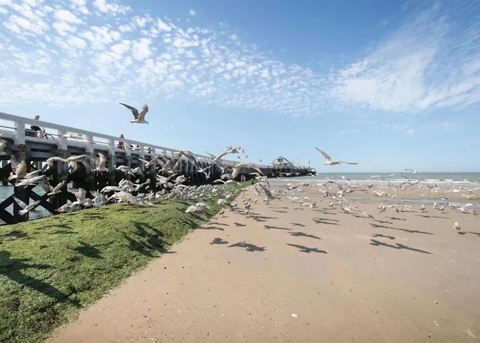 In Near Belgium Pier 아파트 블랑켄베르크
