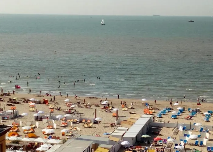 In Near Belgium Pier 아파트